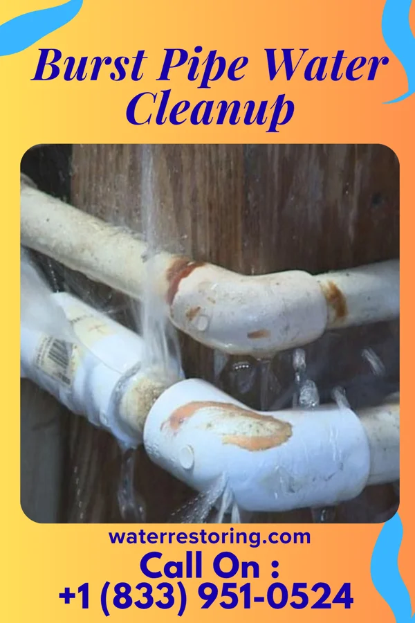 Burst Pipe Water Cleanup in Lynnview, KY