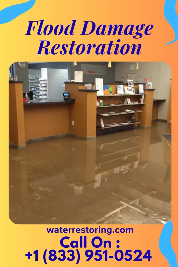 Flood Damage Restoration in Lynnview, KY