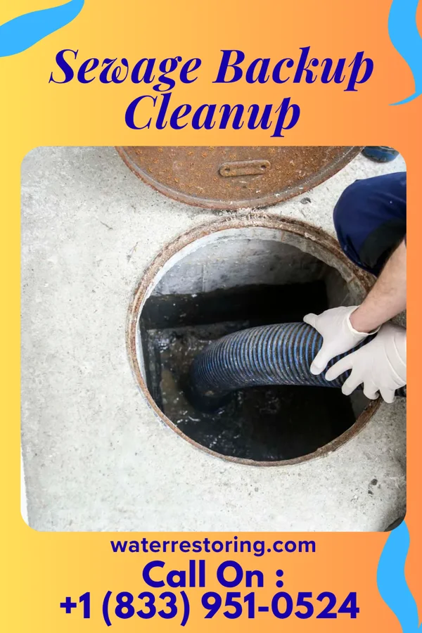 Sewage Backup Cleanup in Lynnview, KY