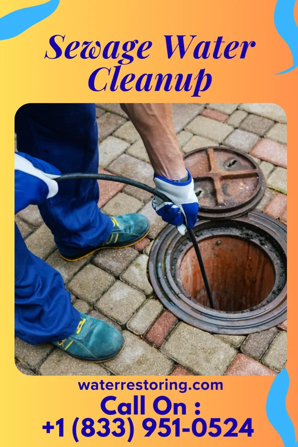 Sewage Water Cleanup in Lynnview, KY