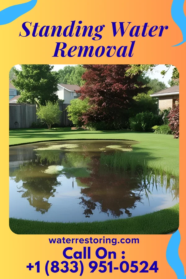 Standing Water Removal in Lynnview, KY